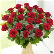 Extra Large Elegant Red Rose  Vase 12