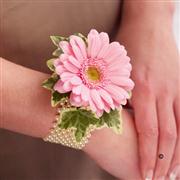 Pale Pink Germini and Pearl Wrist Corsage
