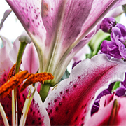 Florist Choice - Vase Arrangement 12