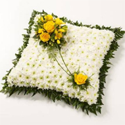 Cushions