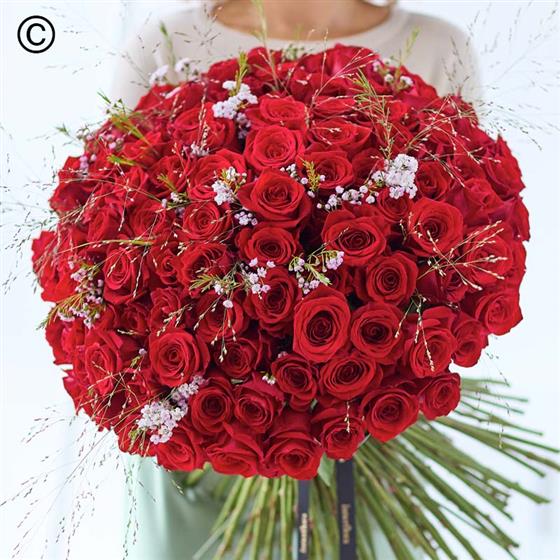 Red Lv Roses Images Lavish Valentine's 100 Red Rose Hand-tied