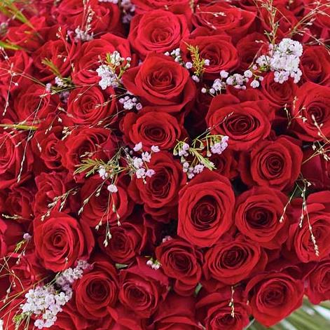 Red Lv Roses Images Lavish Valentine's 100 Red Rose Hand-tied